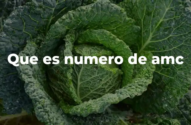 El rol del número de AMC en la seguridad del paciente