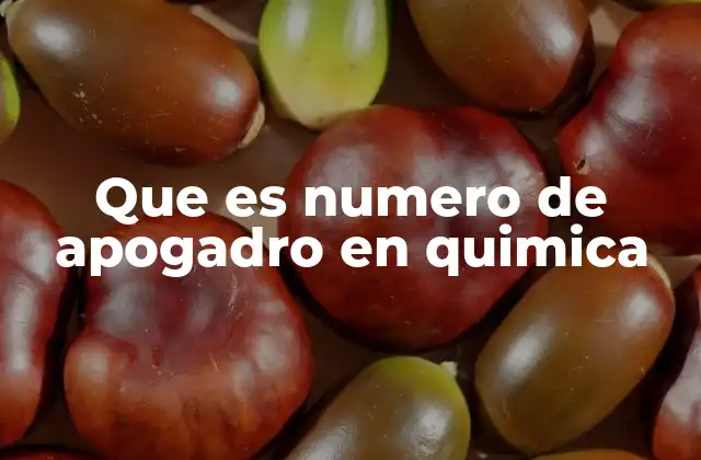 Que es Numero de Apogadro en Quimica