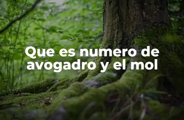 Que es Numero de Avogadro y el Mol