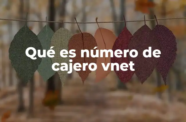 Qué es Número de Cajero Vnet 2 Cómo identificar el número de cajero Vnet