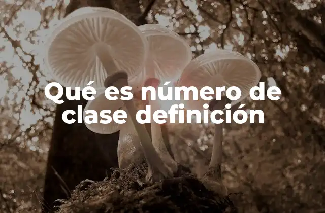 Qué es Número de Clase Definición 2 La importancia de las clasificaciones en matemáticas