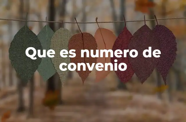 Que es Numero de Convenio