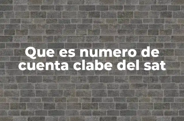 Que es Numero de Cuenta Clabe Del Sat