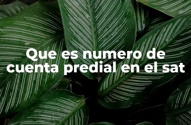 Que es Numero de Cuenta Predial en el Sat