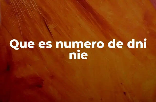 Que es Numero de Dni Nie
