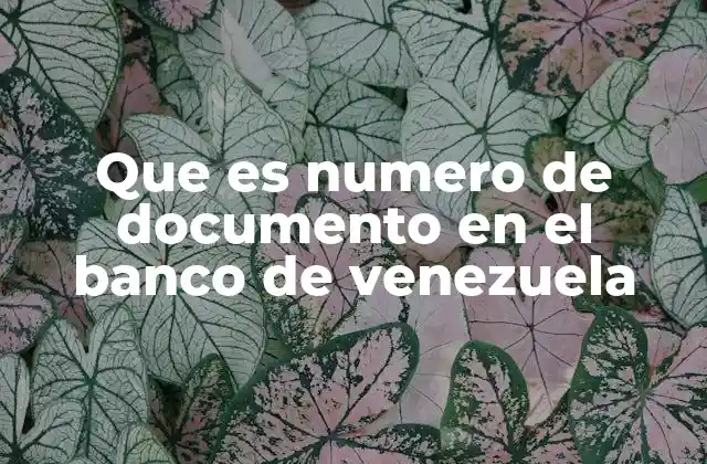 Que es Numero de Documento en el Banco de Venezuela