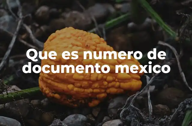 Que es Numero de Documento Mexico