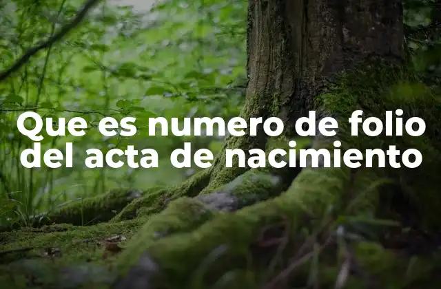 Que es Numero de Folio Del Acta de Nacimiento