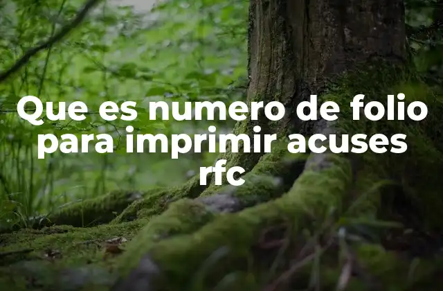 Que es Numero de Folio para Imprimir Acuses Rfc