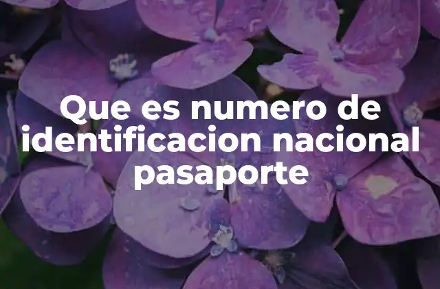 Que es Numero de Identificacion Nacional Pasaporte