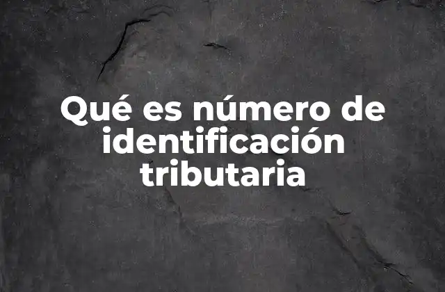 Qué es Número de Identificación Tributaria 2 ¿Por qué el NIT es clave en el sistema tributario?