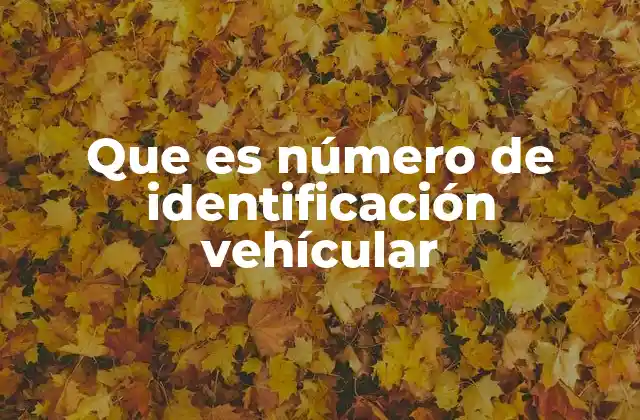 Que es Número de Identificación Vehícular