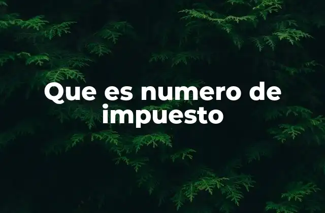 Que es Numero de Impuesto