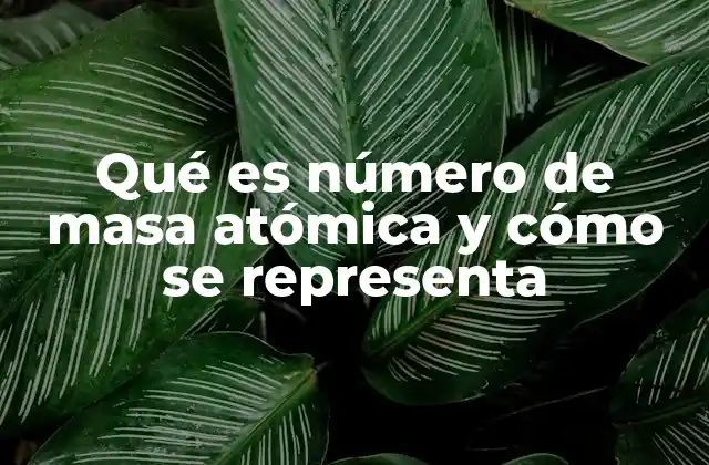 Qué es Número de Masa Atómica y Cómo Se Representa