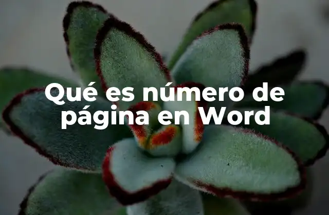 Qué es Número de Página en Word