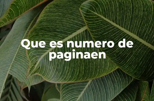 Que es Numero de Paginaen