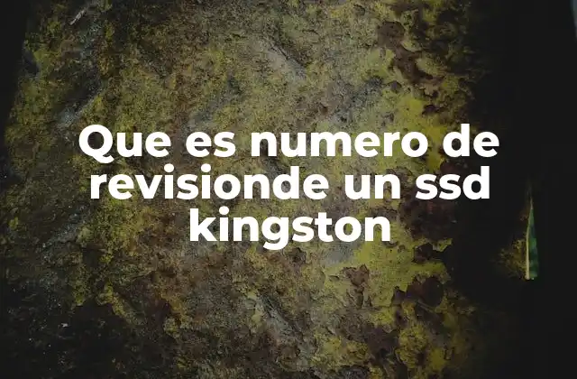 Que es Numero de Revisionde un Ssd Kingston