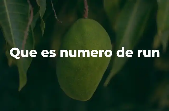 Importancia del identificador único en la sociedad moderna