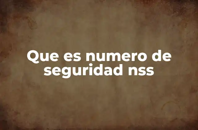 Que es Numero de Seguridad Nss