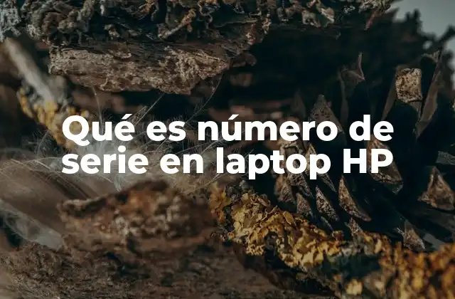 Qué es Número de Serie en Laptop Hp
