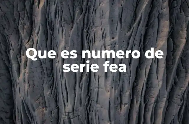 Que es Numero de Serie Fea