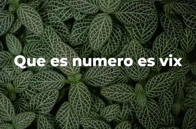 Que es Numero es Vix