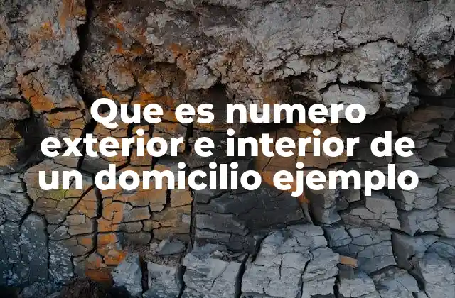 Cómo se usan los números exterior e interior en la vida cotidiana