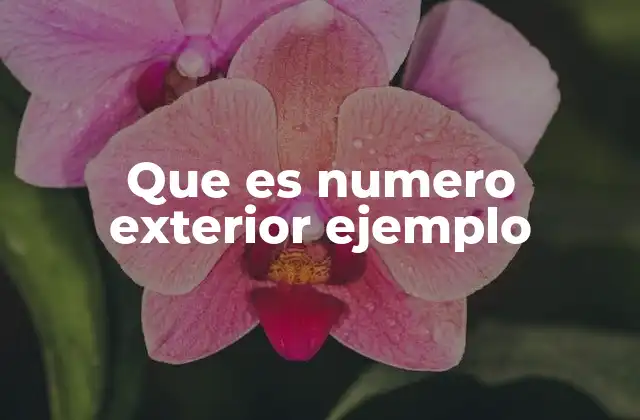 La importancia del número exterior en la identificación de direcciones