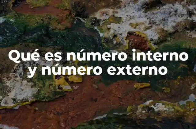 Qué es Número Interno y Número Externo