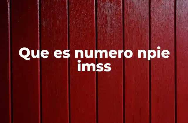 Que es Numero Npie Imss