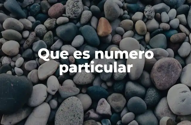 Que es Numero Particular