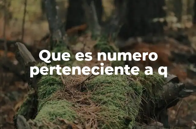 Que es Numero Perteneciente a Q