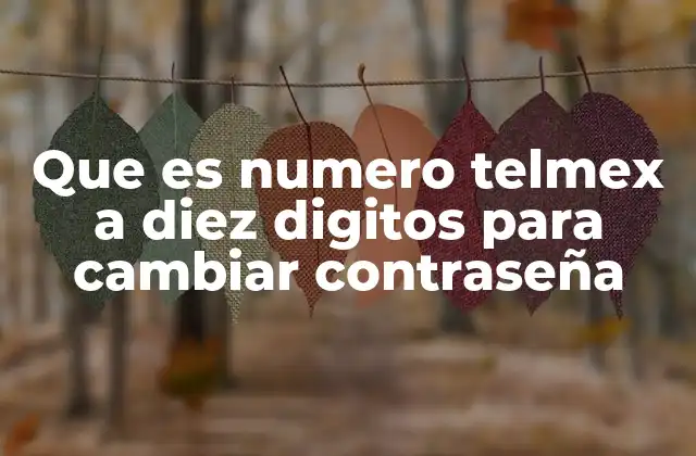 Que es Numero Telmex a Diez Digitos para Cambiar Contraseña