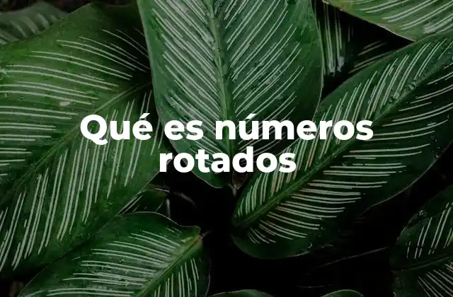 Qué es Números Rotados 2 Propiedades únicas de los números rotados