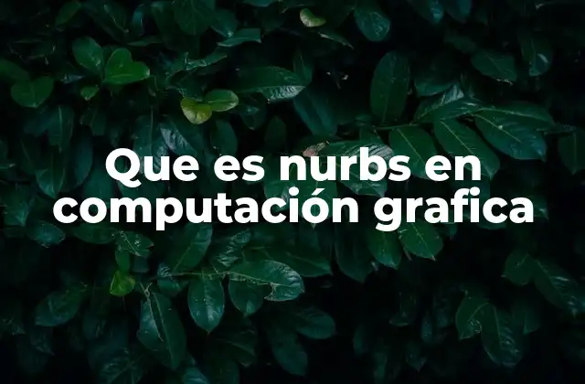 Que es Nurbs en Computación Grafica