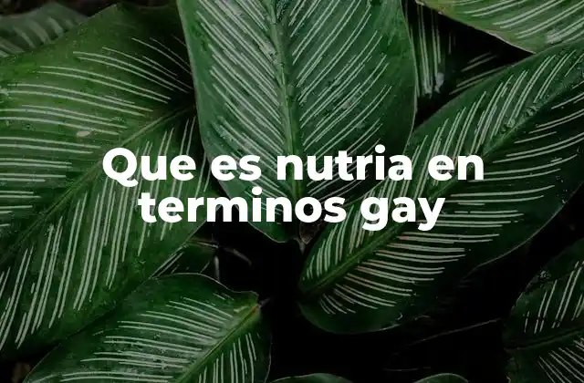 Que es Nutria en Terminos Gay