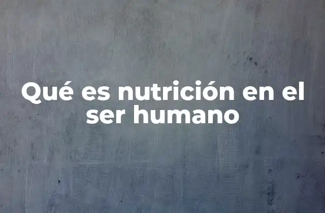 Qué es Nutrición en el Ser Humano 2 El papel de los alimentos en la nutrición humana