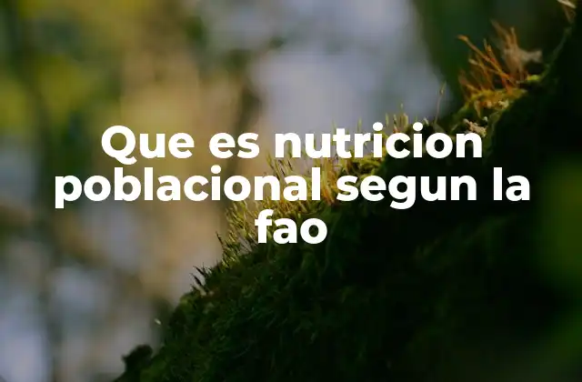 Que es Nutricion Poblacional Segun la Fao