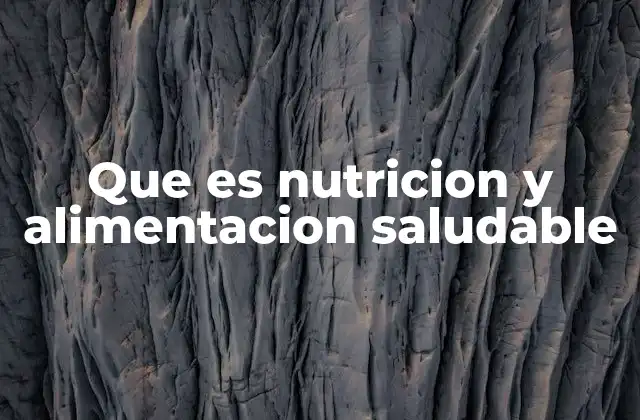 Que es Nutricion y Alimentacion Saludable