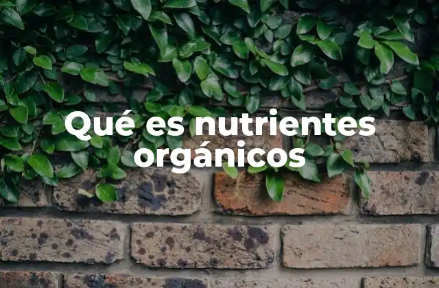 Qué es Nutrientes Orgánicos