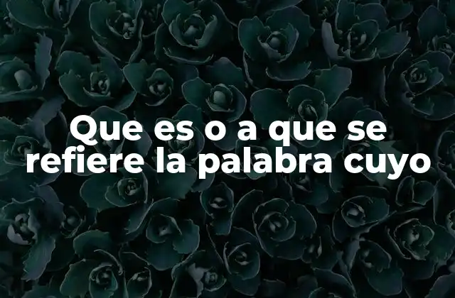 Que es o a que Se Refiere la Palabra Cuyo