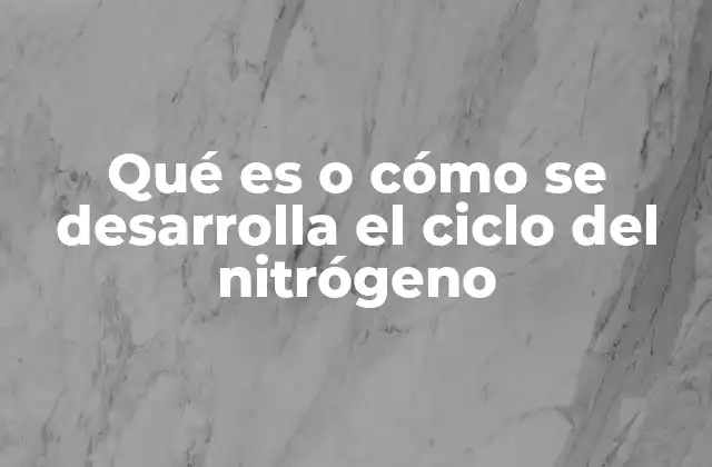 La importancia del nitrógeno en la vida vegetal y animal