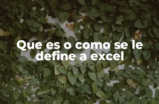 Que es o como Se Le Define a Excel