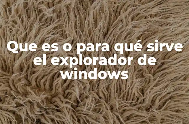 Que es o para Qué Sirve el Explorador de Windows 2 Funcionalidades del Explorador de Windows en la gestión de archivos