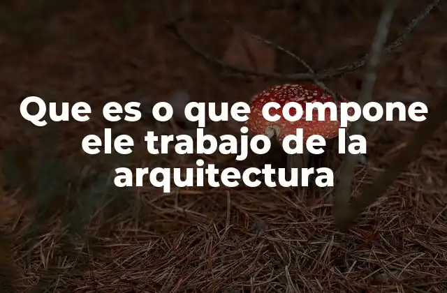 Que es o que Compone Ele Trabajo de la Arquitectura