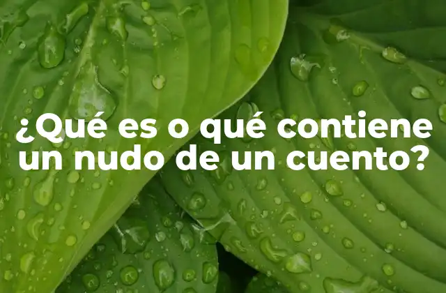 ¿qué es o Qué Contiene un Nudo de un Cuento? 2 La importancia del nudo en la estructura narrativa