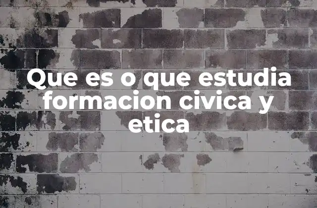 Que es o que Estudia Formacion Civica y Etica