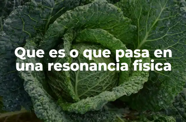 Que es o que Pasa en una Resonancia Fisica