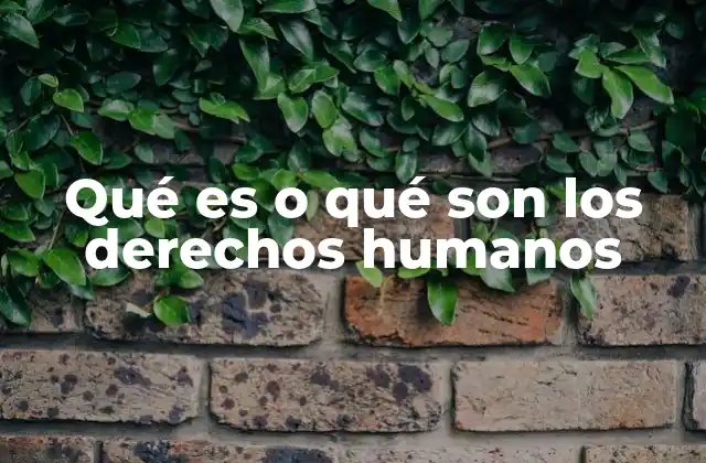 Qué es o Qué Son los Derechos Humanos