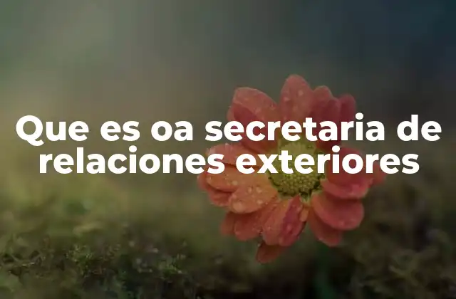 Que es Oa Secretaria de Relaciones Exteriores